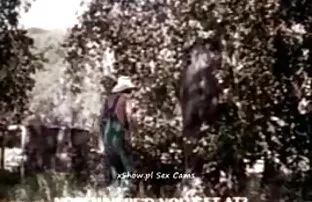 XXX مردان جوان خود عکس سکسی کیرتوکس را در تلسکوپ روی صفحه نمایش می گذارند