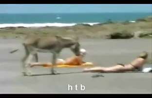 XXX مشاعره بزرگ مادر بهترین ضد افسردگی است عکسکیر و کوس